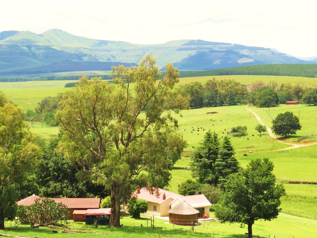 Fairbairn Guest Farm Farm stay