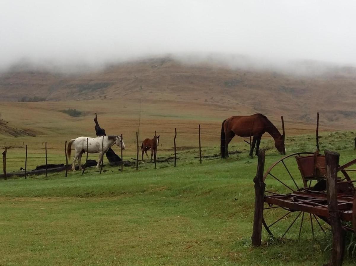 Farm stay Fairbairn Guest Farm Maclear