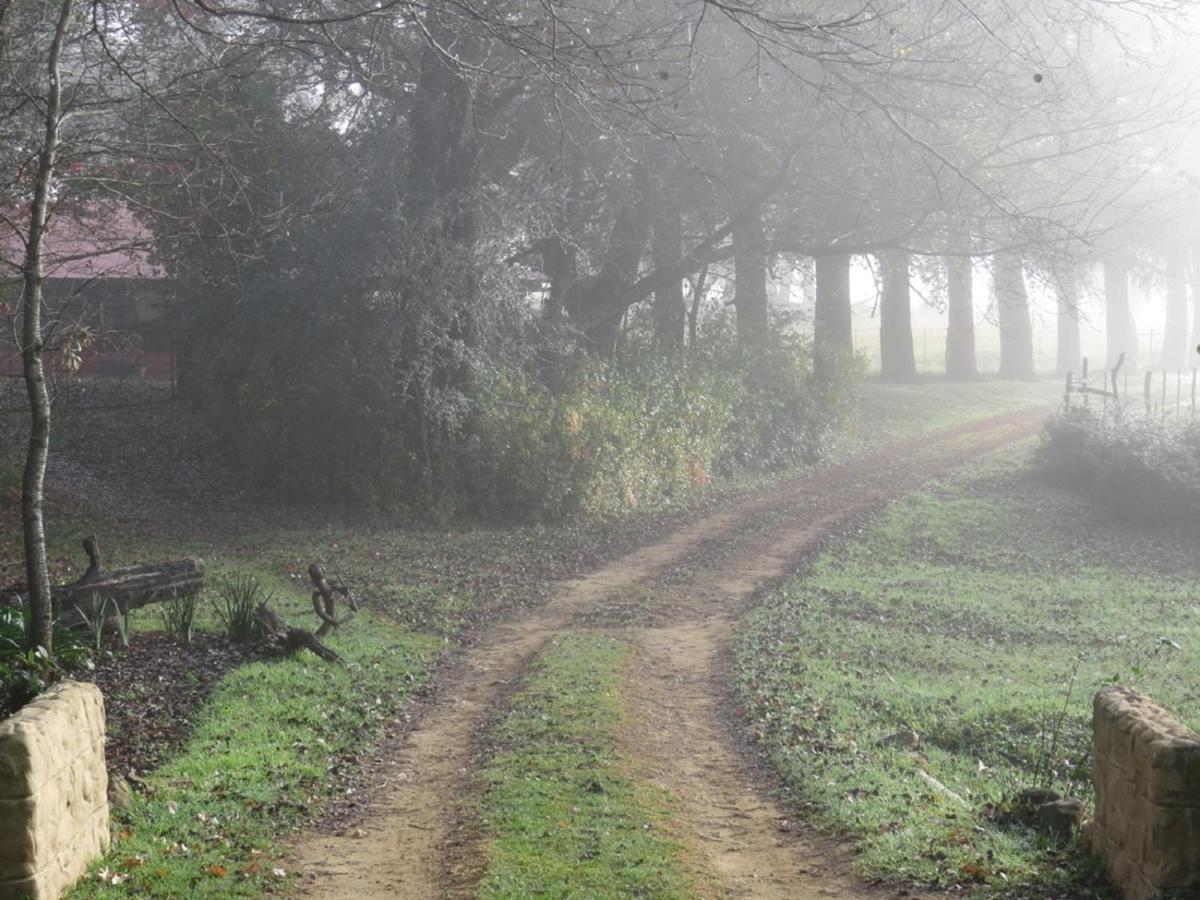 Fairbairn Guest Farm * Maclear