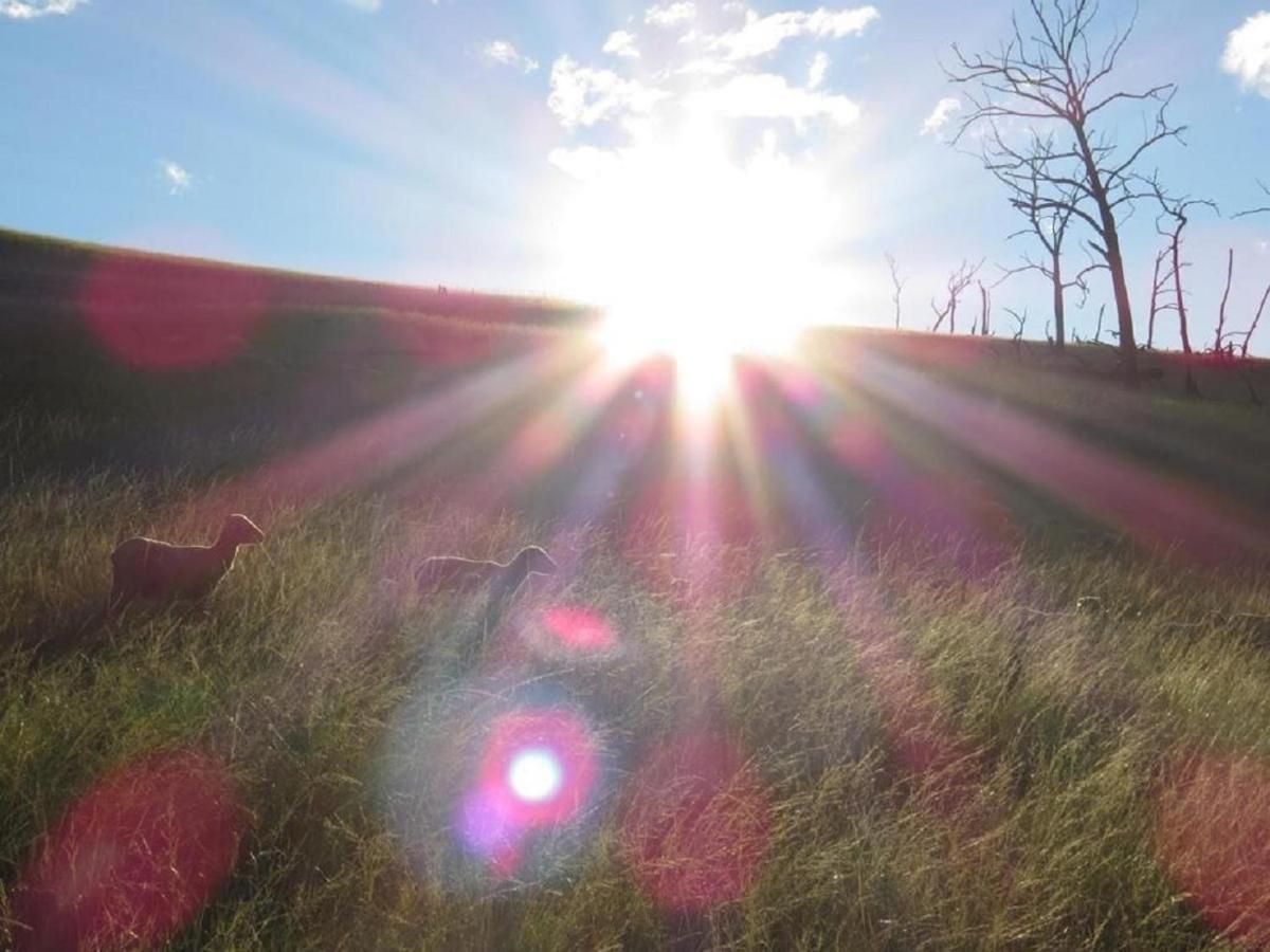 Farm stay Fairbairn Guest Farm *